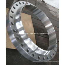 Stainless Steel Flanges